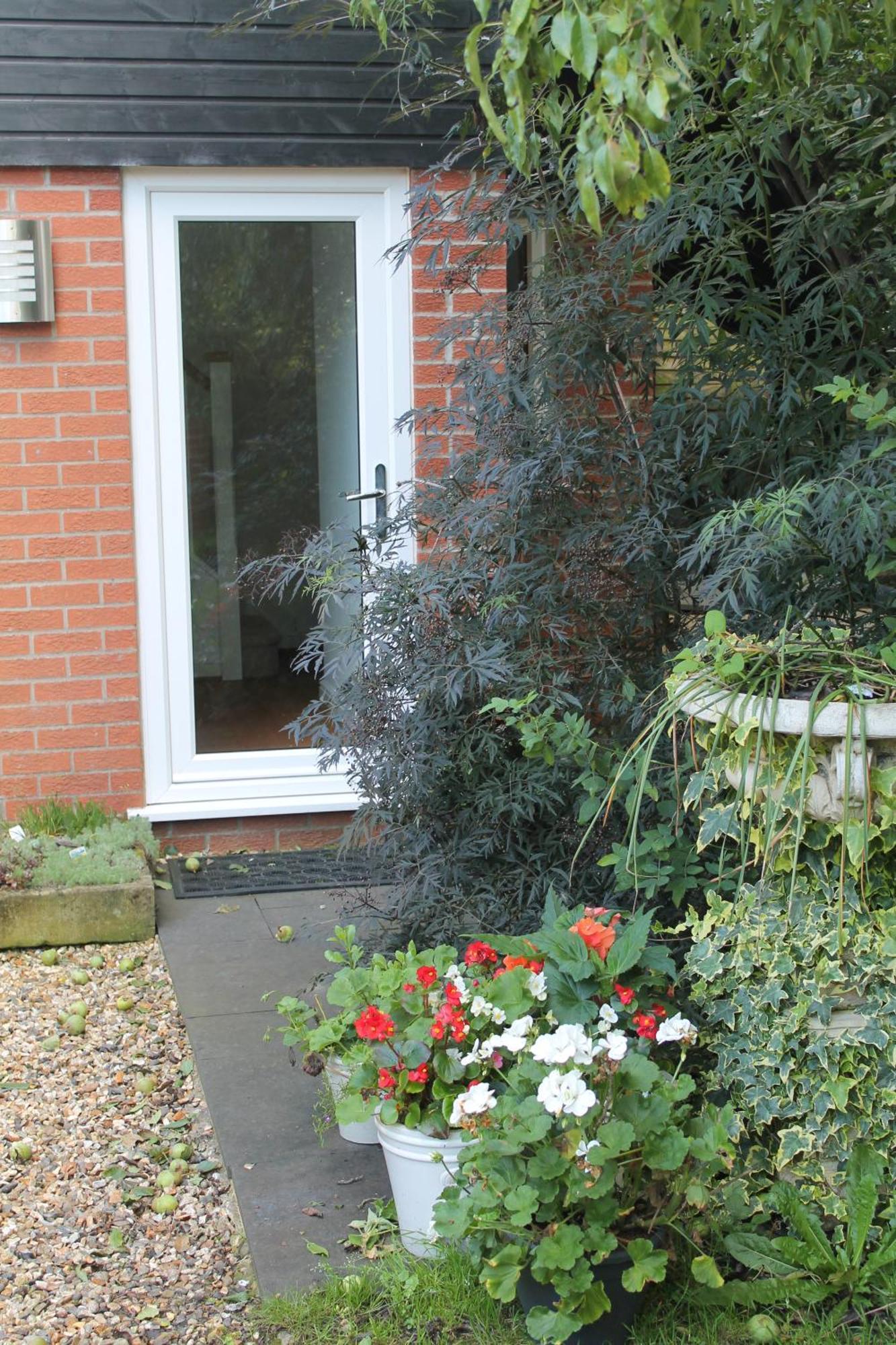 Pear Tree House Studio Ely Exterior photo